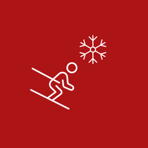 Audi FIS Ski Cross World Cup