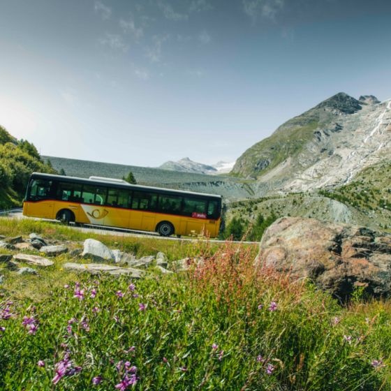 Every journey is an adventure…