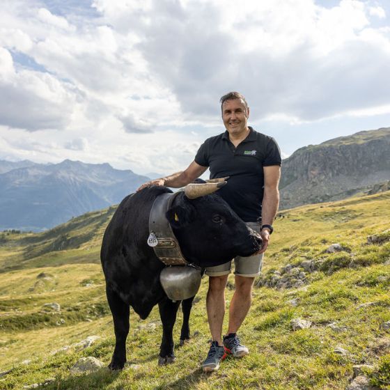 His passion: Hérens cows