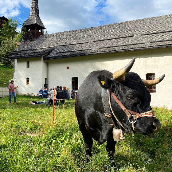 Lichtgeschwindigkeit