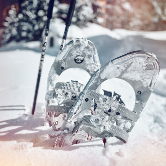 Snowshoeing in Bettmeralp