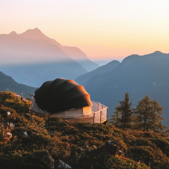 A night with a difference