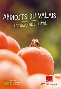 2-Brochure-Abricots
