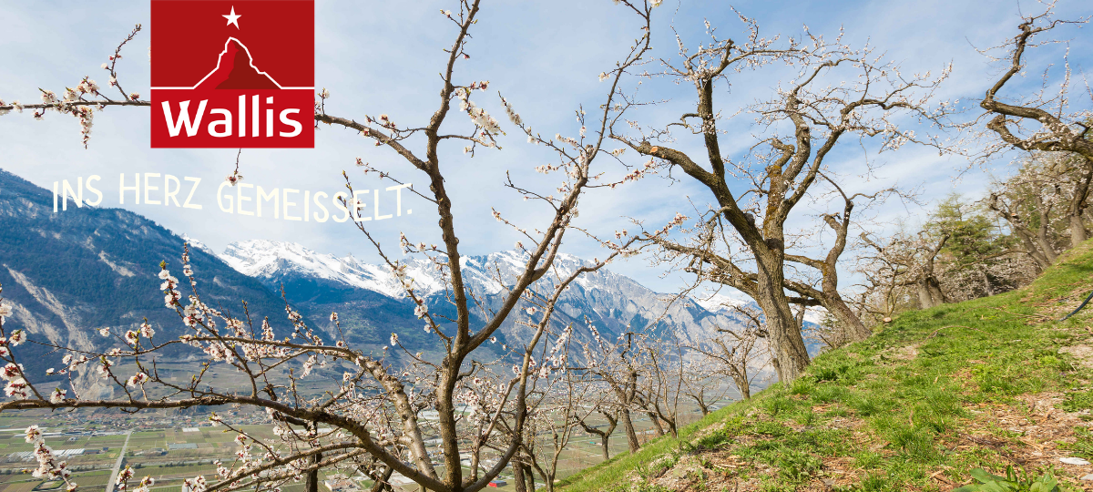 Es grünt und blüht im Wallis