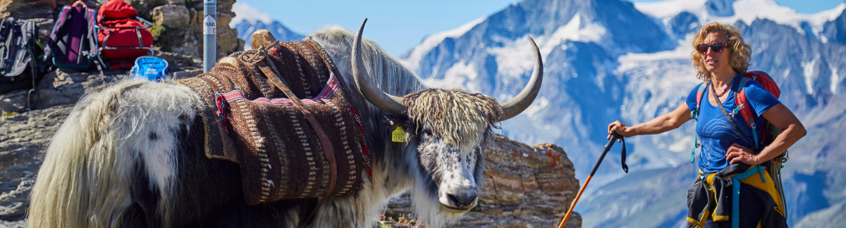 Her thing is all about yaks and treks
