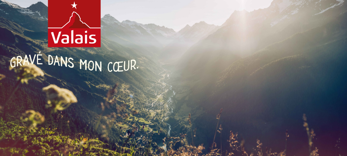 11 idées pour bien planifier votre été
