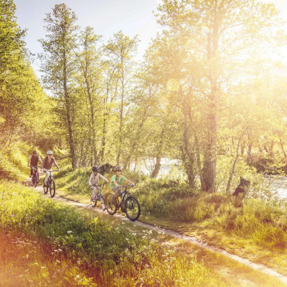 Rhône Route by bike