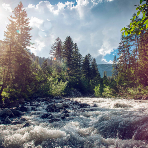 Inspiring ideas for your summer break