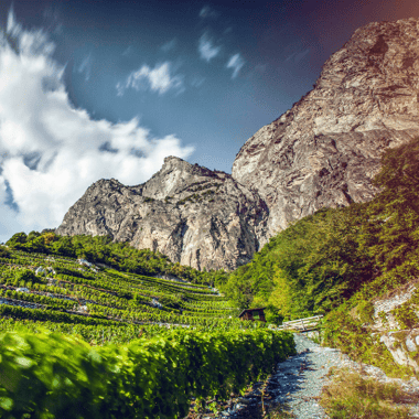 Wander-Challenge 2023: Walliser Weinweg zu Fuss  