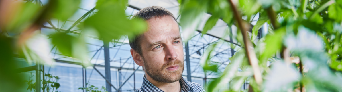 Wonach suchen die denn?