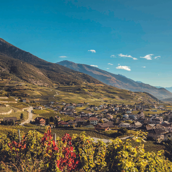 Eine Reise der Sinne