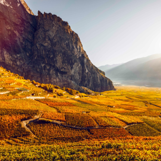 Votre automne en Valais
