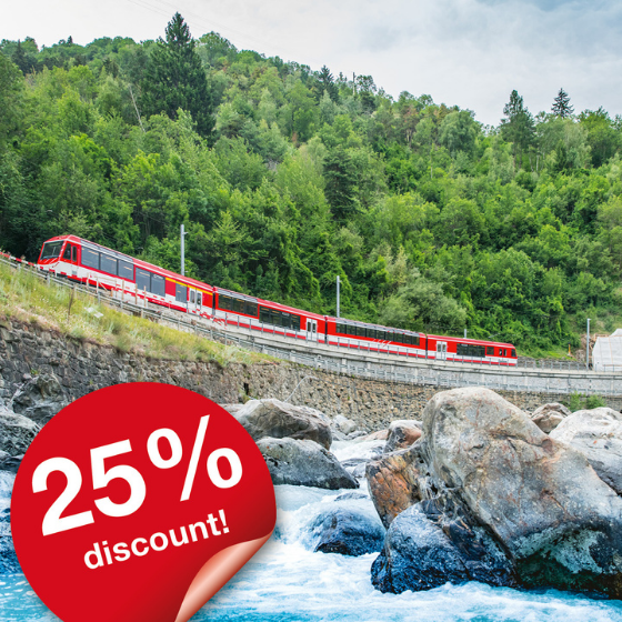 All-in-one public transport 