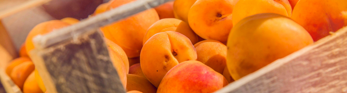 Valais apricots are here!