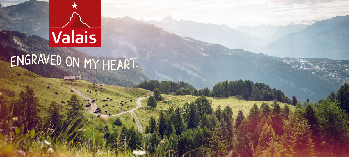 Peace of mind and a light heart