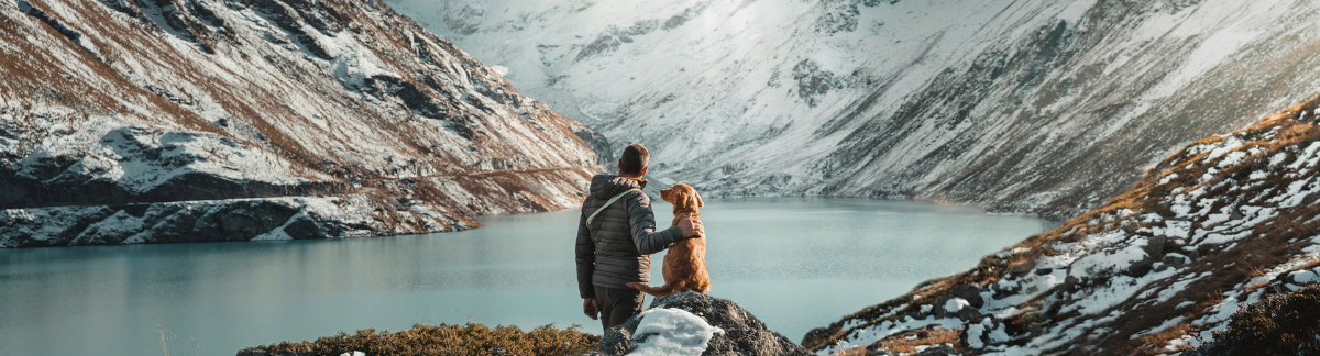 Reck, futur chien d'avalanche