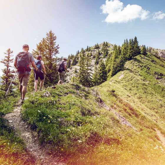 Das Wallis im Sommerkleid