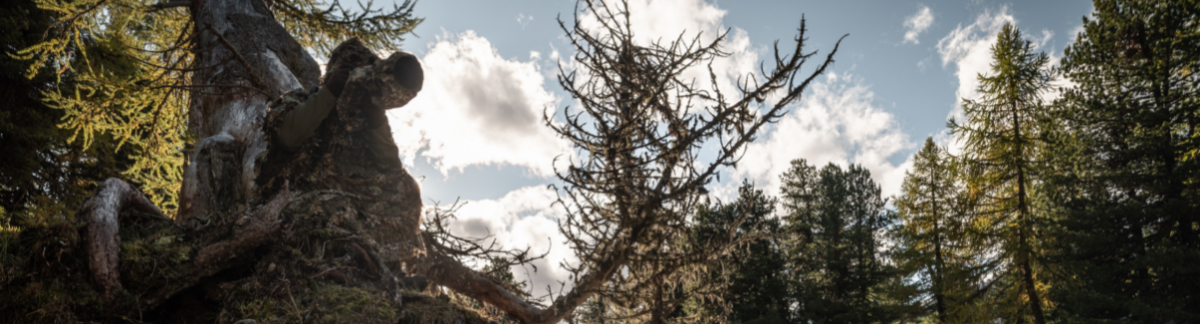 Pouvez-vous repérer Marcel sur cette photo ?