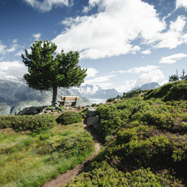 High thrills: the Aletsch Panoramaweg